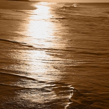 15-Gold-washed-ashore-sepia-70x52