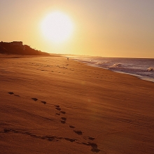 footsteps-color-red40-cropped
